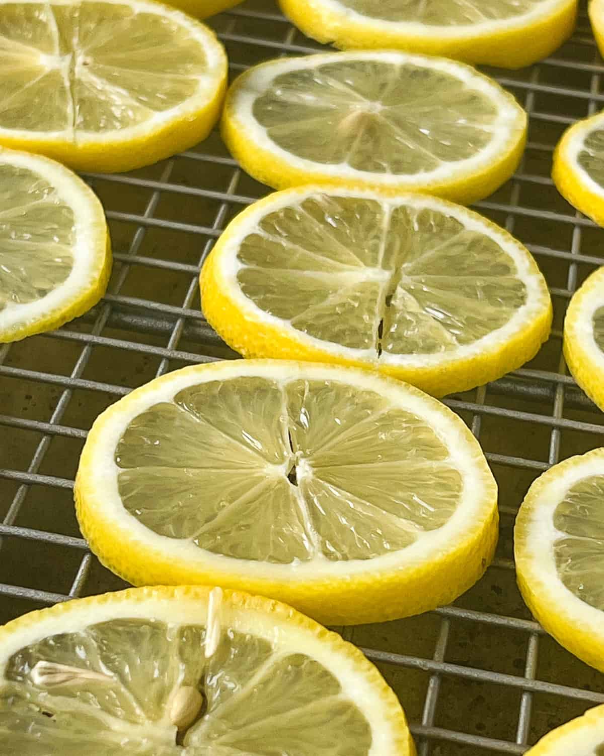Thin lemon slices arranged flat on a wire cooling rack.