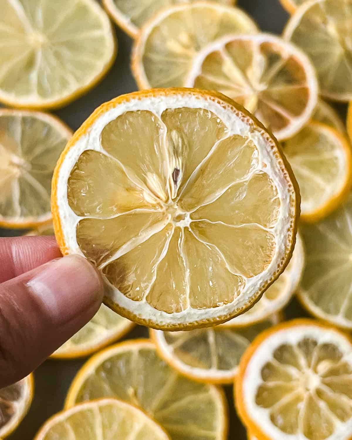 A person holding a dried lemon slice with their fingers.